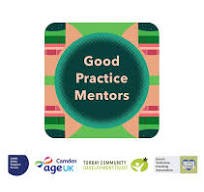 The Good Practice Mentor